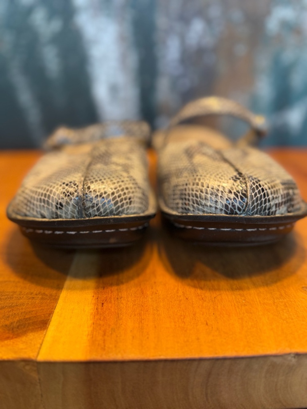 Alegria Boho Snakeskin Leather Mary Jane Clog Mule Gray/Black (GUC) - Picture 10 of 16